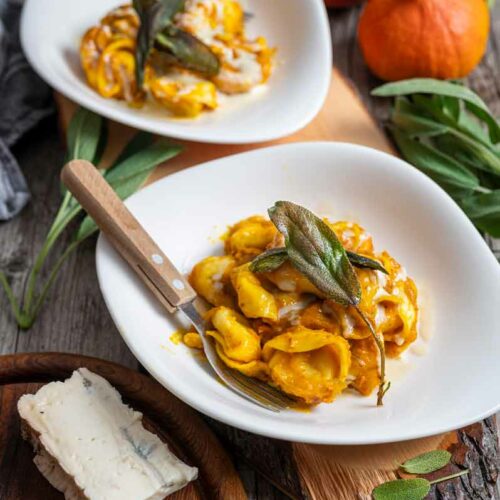Tortellini in Kürbissoße – Das perfekte Herbstrezept mit Gorgonzola und ...